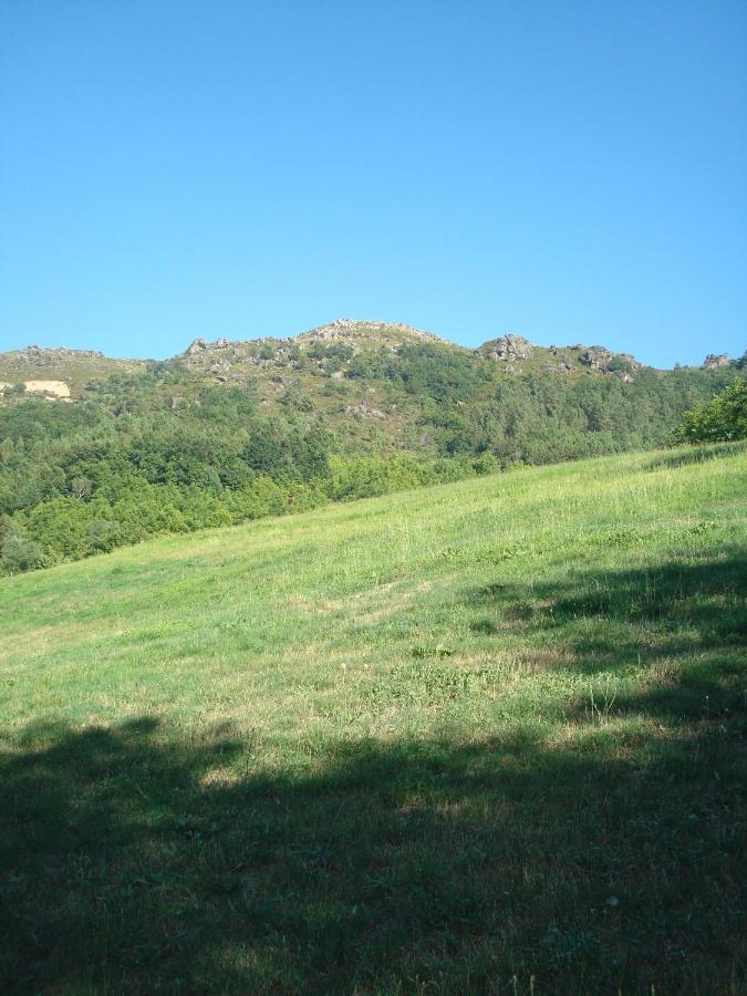 Casa Do Palheiro Βίλα Montalegre Εξωτερικό φωτογραφία